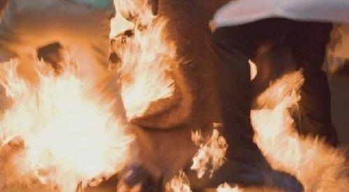 undefined Season 10 Episode 5 - Out of Africa