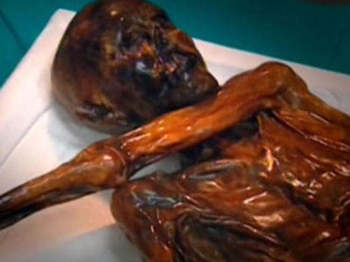 Digging for the Truth Season 1 Episode 6 - The Iceman Cometh