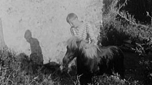 Poly Season 3 Episode 6 - Episode 6