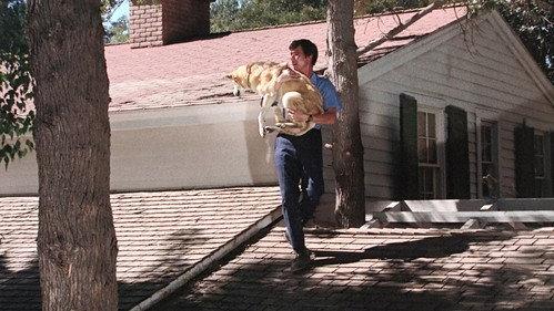 Emergency! Season 2 Episode 12 - Helpful