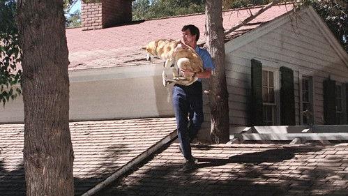 Emergency! Season 2 Episode 12 - Helpful