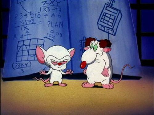 Pinky and the Brain Season 3 Episode 3 - Pinky & The Brain ...and Larry