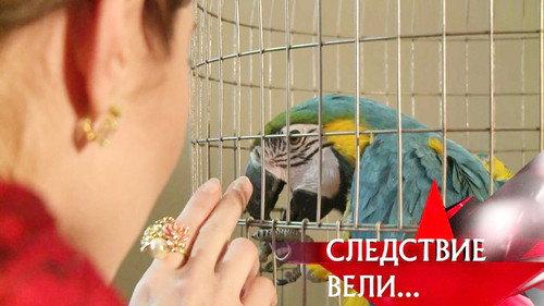 The investigation was conducted Season 11 Episode 4 - Episode 4