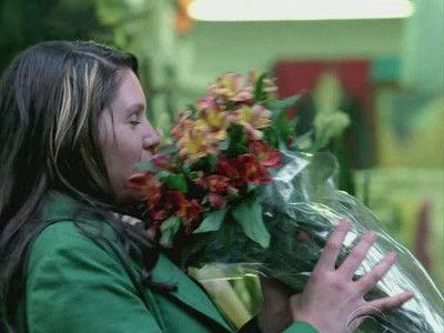 CSI: NY Season 4 Episode 13 - All in the Family