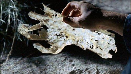 undefined Season 2 Episode 1 - Skin and Bones