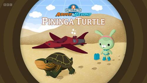 Octonauts: Above & Beyond Season 3 Episode 1 - Pininga Turtle