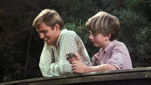 The Waltons Season 3 Episode 17 - The Beguiled