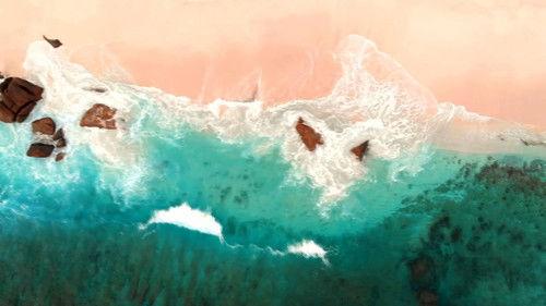 Shark Week Season 33 Episode 15 - Mako Nation