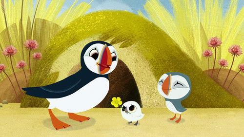 Puffin Rock Season 2 Episode 8 - The Puffin Way