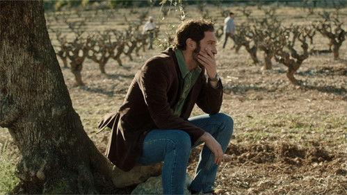 The White Village Season 12 Episode 205 - Episode 205