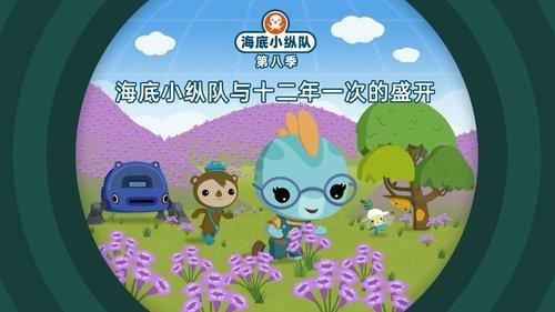 Octonauts Season 8 Episode 6 - Episode 6