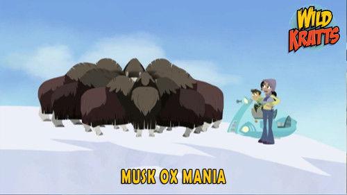 Wild Kratts Season 4 Episode 24 - Musk Ox Mania