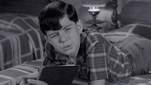 Leave It to Beaver Season 4 Episode 32 - In the Soup