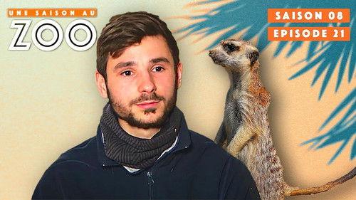 Une saison au zoo Season 8 Episode 21 - Episode 21