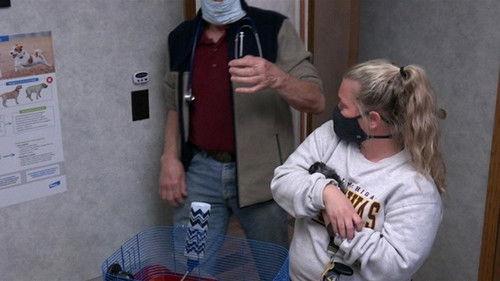 The Incredible Dr. Pol Season 20 Episode 9 - The Bark Side