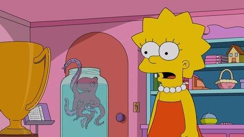 undefined Season 33 Episode 18 - My Octopus and a Teacher