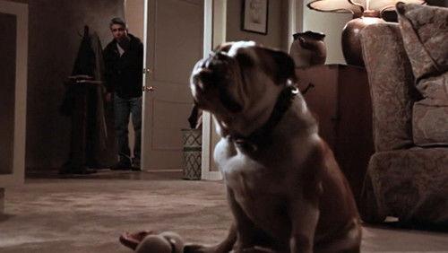 Chicago Hope Season 5 Episode 21 - And Baby Makes 10