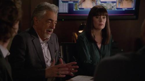 Criminal Minds Season 15 Episode 8 - Family Tree