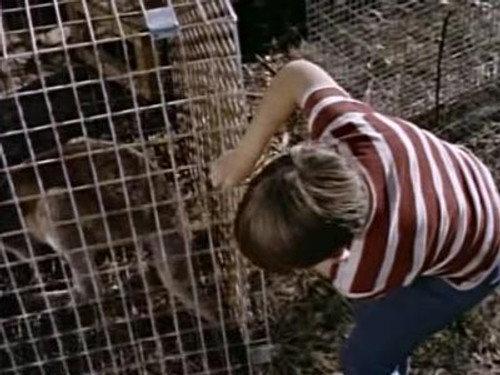 Skippy the Bush Kangaroo Season 1 Episode 11 - Can You Keep A Secret?