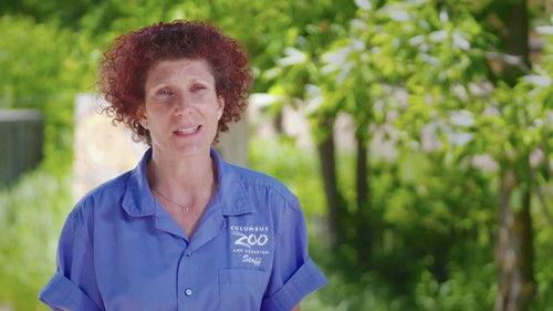 Secrets of the Zoo Season 3 Episode 6 - Dancing With the Devils