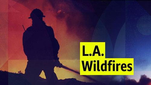 Newsnight Season 46 Episode 4 - The inferno that woke the world