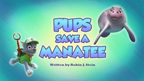 PAW Patrol Season 6 Episode 21 - Pups Save a Manatee