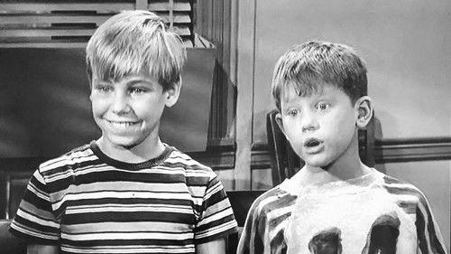 The Andy Griffith Show Season 4 Episode 14 - Andy and Opie's Pal