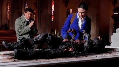 Bones Season 5 Episode 14 - The Devil in the Details