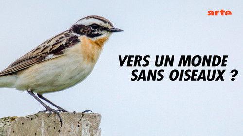 Mapping the World Season 30 Episode 11 - Is there a world without birds?