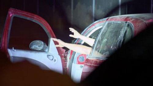 Cops Season 35 Episode 3 - Senior Stroll