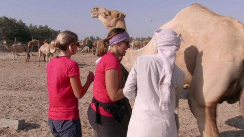 The Amazing Race Season 30 Episode 9 - The First Rule of the Amazing Race Club (1)