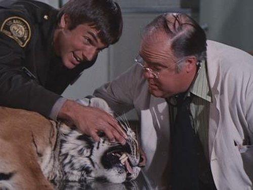 Emergency! Season 4 Episode 22 - 905-Wild