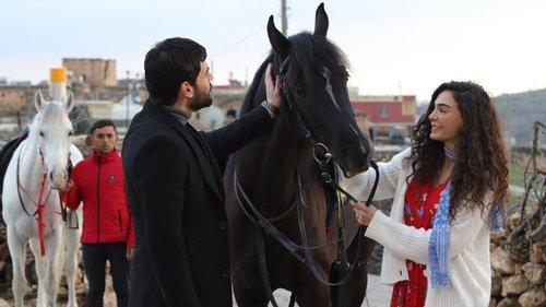 Hercai Season 2 Episode 25 - Episode 25