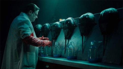 undefined Season 1 Episode 5 - Episode 5