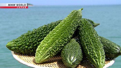 Trails to Oishii Tokyo Season 4 Episode 18 - GOYA