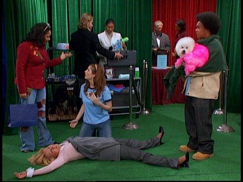 That's So Raven Season 3 Episode 11 - Dog Day After-Groom