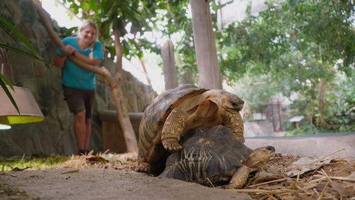 Dyrepasserne Season 11 Episode 12 - Episode 12