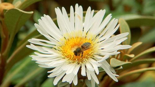 Gardening Australia Season 28 Episode 19 - Episode 19