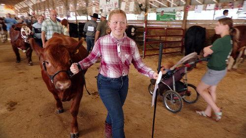 The Incredible Dr. Pol Season 24 Episode 10 - Once Upon a Fair