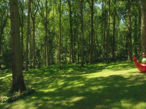 In the Night Garden Season 1 Episode 64 - The Pontipines' Picnic