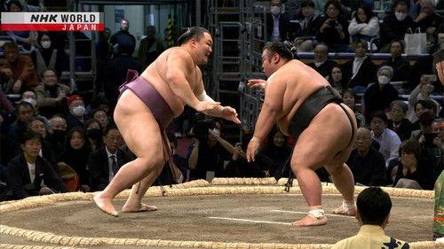 GRAND SUMO Highlights Season 20 Episode 8 - Day 8