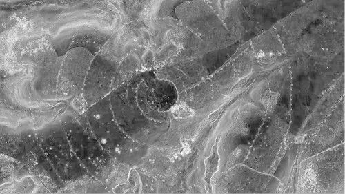 What on Earth? Season 10 Episode 6 - Mystery of the Cursed Forest