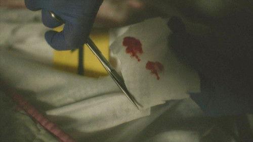 A Time to Kill Season 5 Episode 7 - One Bloody Fingerprint