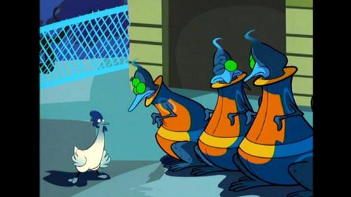 Gino il Pollo perso nella rete Season 1 Episode 23 - Episode 23