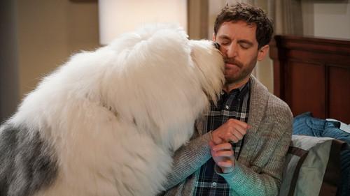 B Positive Season 1 Episode 12 - Canine Extraction