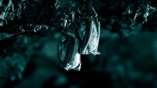 Countryfile Season 36 Episode 6 - Underground Britain