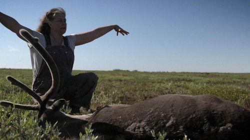 Life Below Zero Season 16 Episode 4 - Inside Out