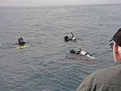 The Curse of Civil War Gold Season 2 Episode 4 - The Pritchard Connection