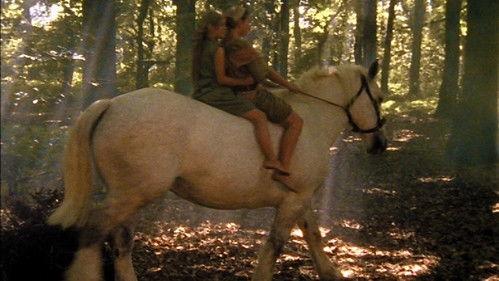 Die Camper Season 4 Episode 9 - Episode 9