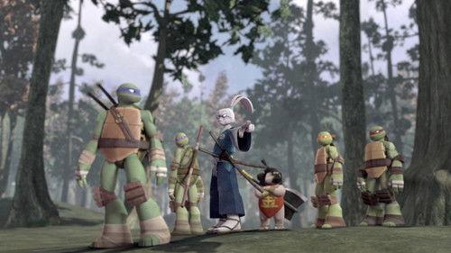 Teenage Mutant Ninja Turtles Season 5 Episode 7 - Yojimbo